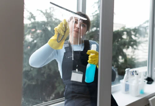 Nettoyage de vitres intérieures et extérieures à Ségos